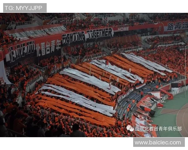 鲁能与国安历史交锋回顾及战绩分析揭示双方对决的精彩瞬间